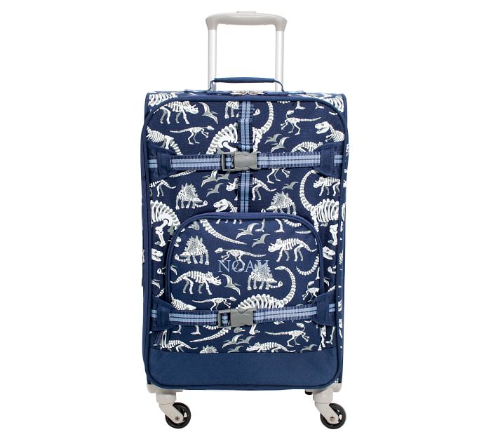 dinosaur luggage set