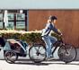 Thule Courier Convertible Bike Trailer &amp; Stroller