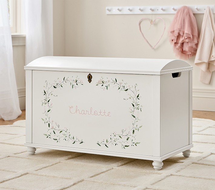 Painted Toy Chest (31
