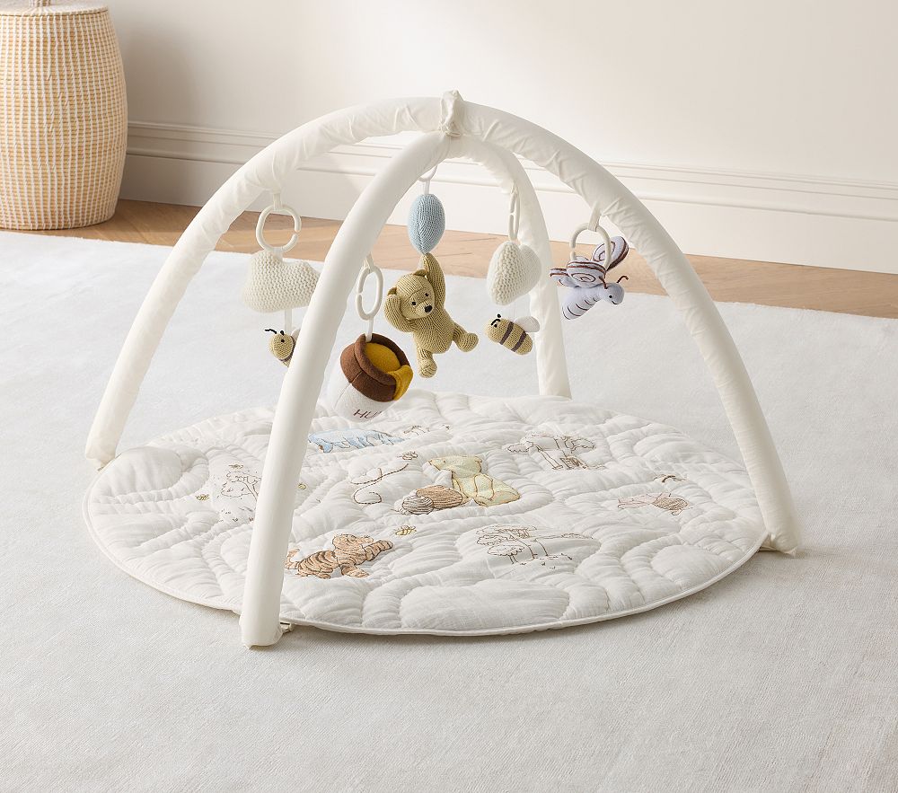 Disney's Winnie the Pooh Activity Gym