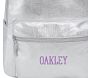 Colby Silver Backpack