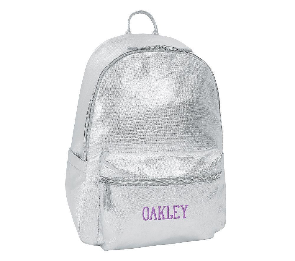 Colby Silver Backpack