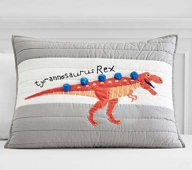 Finn Dino Standard Sham