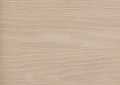 Sandstone