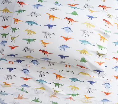 Organic Finn Dino Sheet Set, Twin, Multi