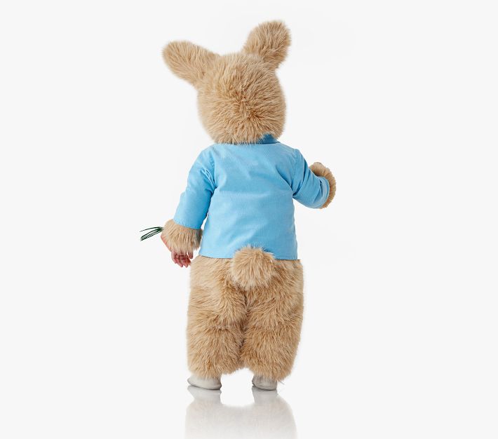 Peter Rabbit™ Baby Costume Pottery Barn Kids