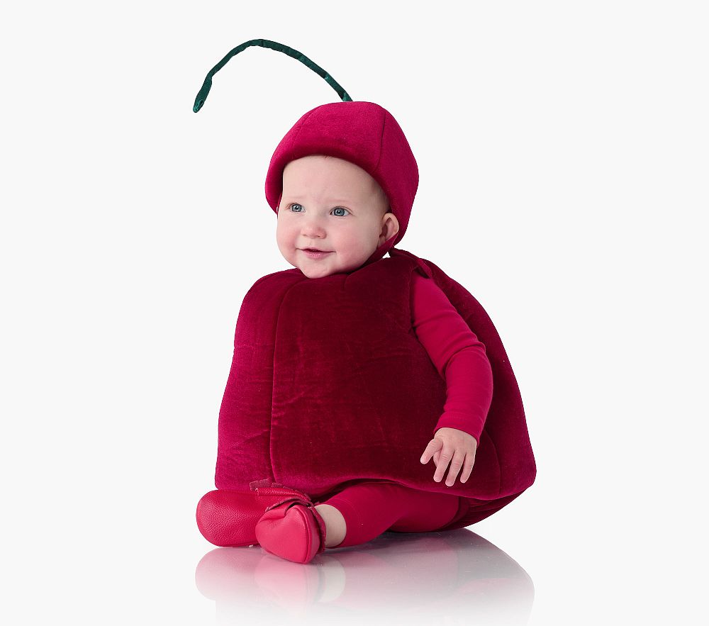 Pottery Barn Baby Costumes