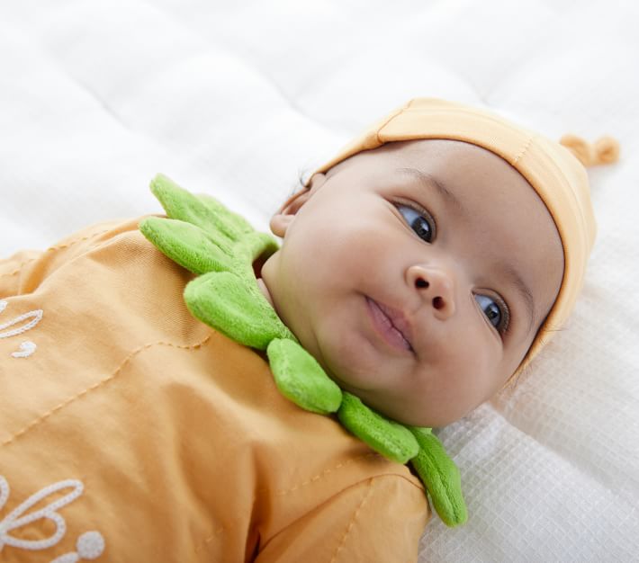 Baby Pumpkin Bunting Pottery Barn Kids