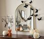 Black Butterflies Decor