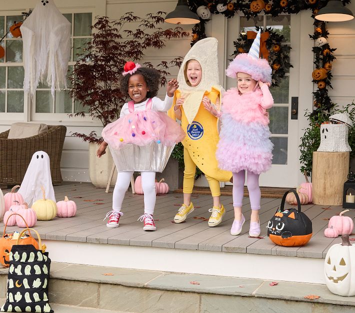 Cupcake Costume Pottery Barn Kids Dress Up POTTERY BARN KIDS PBK