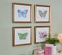 Jordan Connelly Soft Butterfly Framed Wall Art Collection