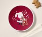 Rudolph® Plate