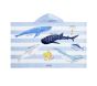 Save Our Seas Kid Beach Hooded Towel UPF 50+