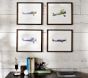 Vintage Airplane Framed Set