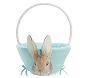 Peter Rabbit™ Aqua Rabbit Easter Basket Liners