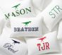 Open Box: Dino Personalized Pillow Cover