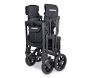 Wonderfold W2 Luxe Pro 2-Seater Stroller Wagon