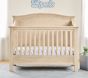 Larkin Camelback 4-in-1 Convertible Crib