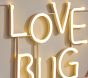 Love Bug LED Decor