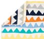 west elm x pbk Triangle Train Blanket