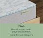 BeautySleep® Plush Mattress (14"h)