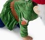 Baby Gnome Costume