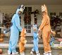 <i>Bluey</i> Family Costume Collection