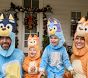 <i>Bluey</i> Family Costume Collection