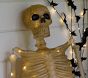 Lit Mr. Bones