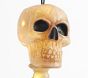Lit Mr. Bones