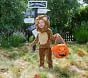 Toddler Lion Machine Washable Costume