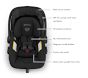 UPPAbaby® Mesa V3 Car Seat