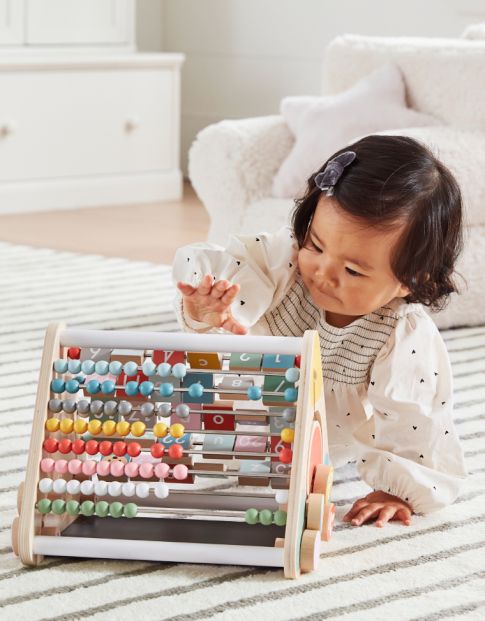 Baby Developmental Toys