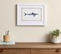 Shark Art Collection (16"x 12")