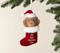 Baby's First Christmas Bear in Stocking Ornament
