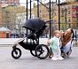 Baby Jogger Summit™ x Robin Arzón Jogging Stroller