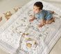 Noah's Ark Organic Baby Quilt