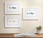 Shark Art Collection (16"x 12")