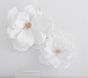 Jumbo Crepe White Paper Flowers Set of 2 (16"-20")