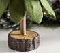 Green Felt Tree Decor, Set of 2