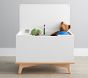 Sloan Toy Box (31")