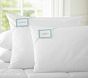 PBK Natural Down Blend Pillow Insert, Standard, 20 x 26"