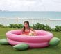 Turtle Pool