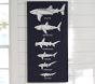 Shark Art