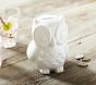 Ceramic Owl Bank