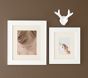 White Lacquer Frames