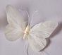 Feather Butterfly String Lights