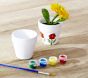 Paint a Flower Pot Kit