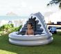 Shark Toddler Pool