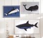 Sea Animal Plaques